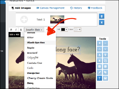 wordpress image editor