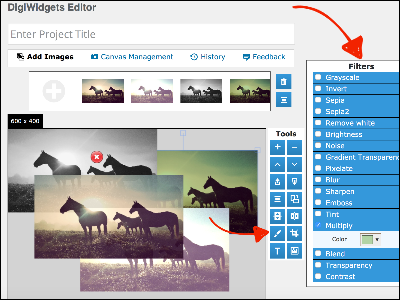 wordpress image editor