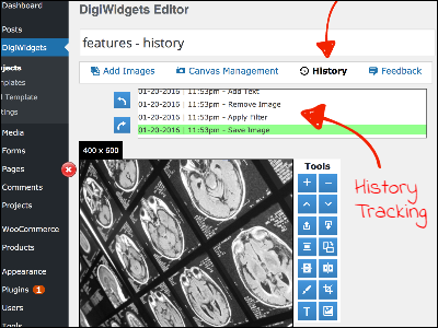 wordpress image editor